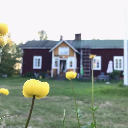 Paeivin Pirtti - Pirttikahvila Ja B&B Luosto Exteriér fotografie